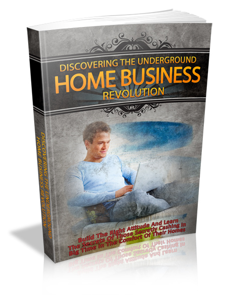 Discovering the Underground Home Business Revolution