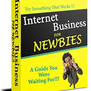 Internet-Business-for-Newbies